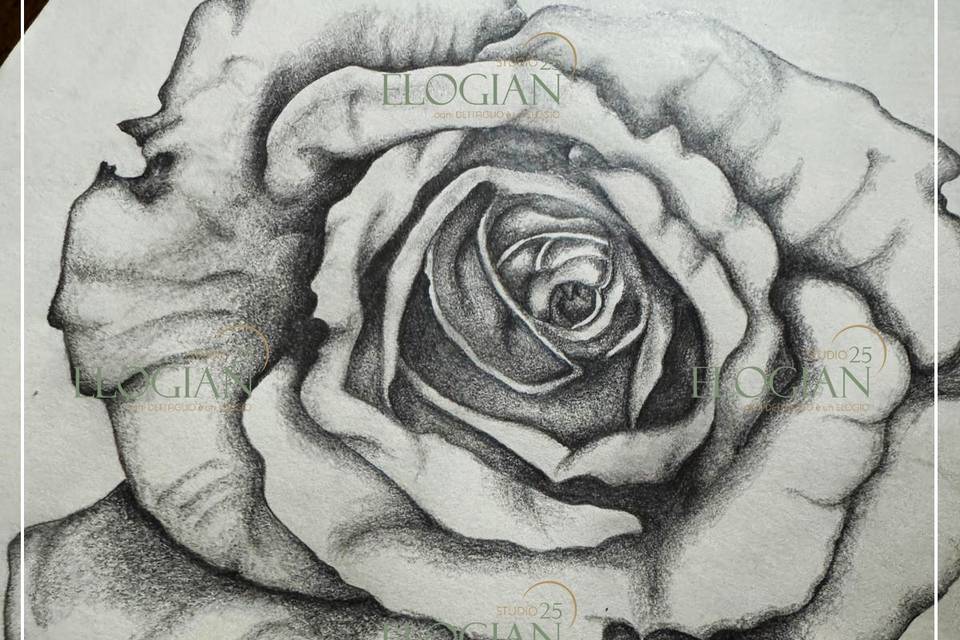 Disegno mano libera