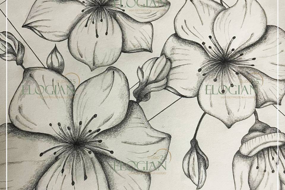 Disegno mano libera