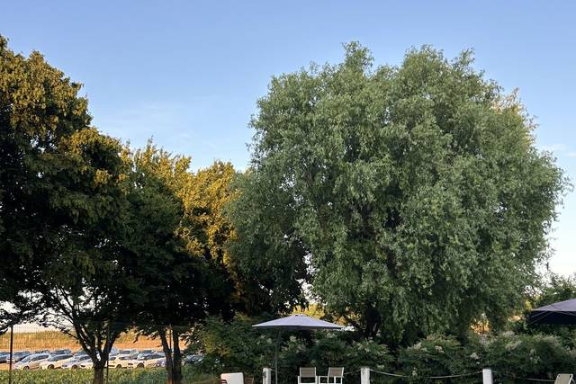 Piscina al tramonto