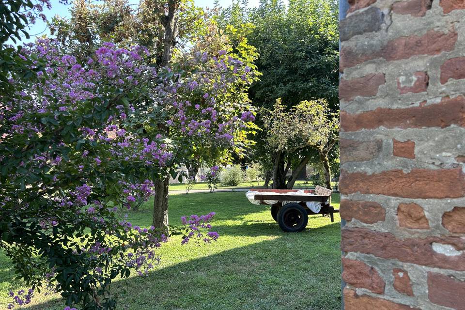 Ca' del Riso