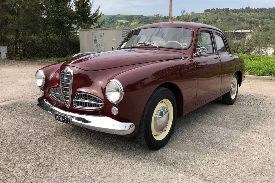 Alfa Romeo 1900   1953