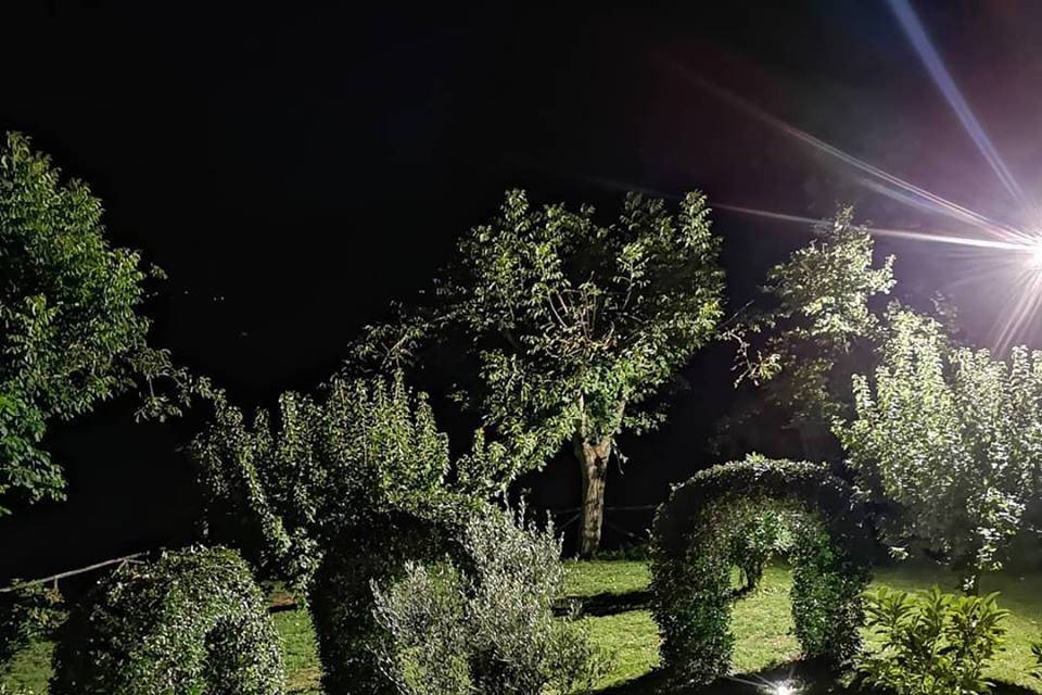 Giardino by Night