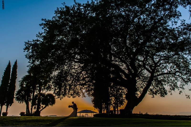 L'albero della vita