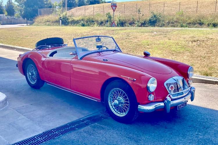MgA