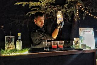 Federico Marcato Bartender 1