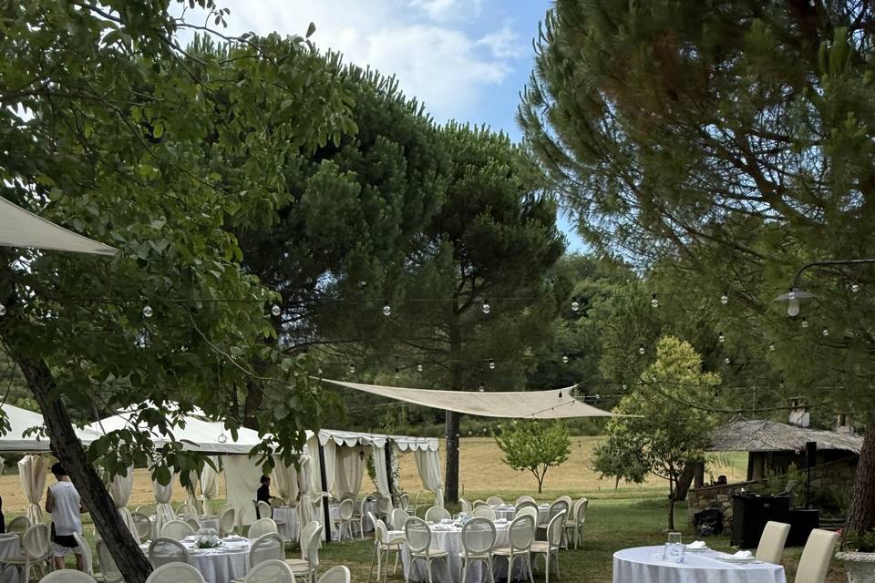 Tablescape