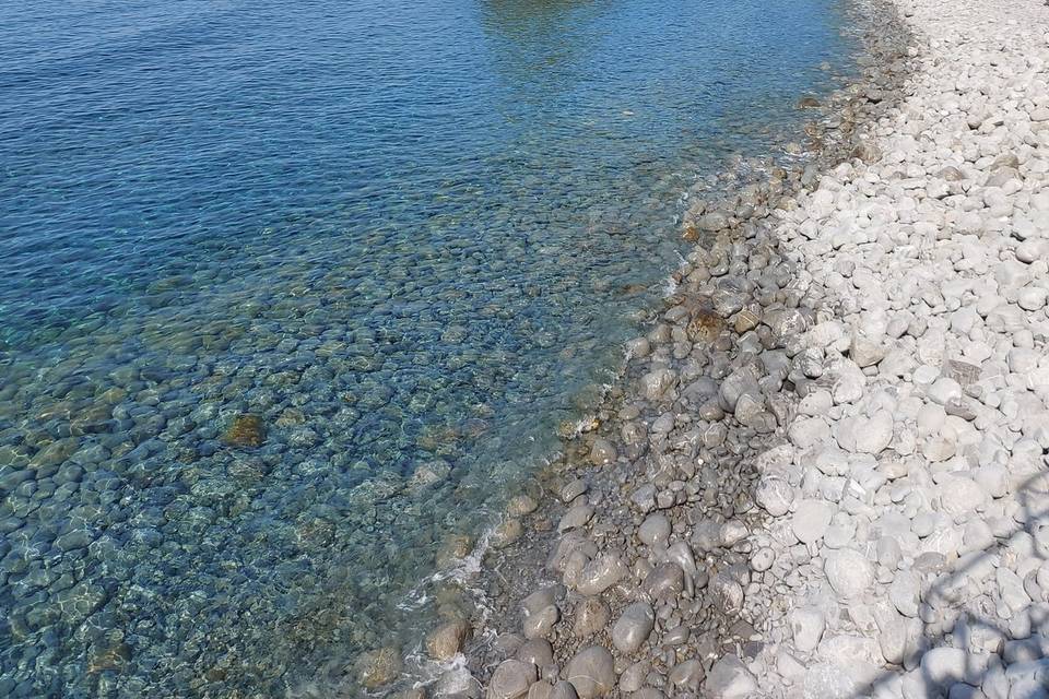 Mare