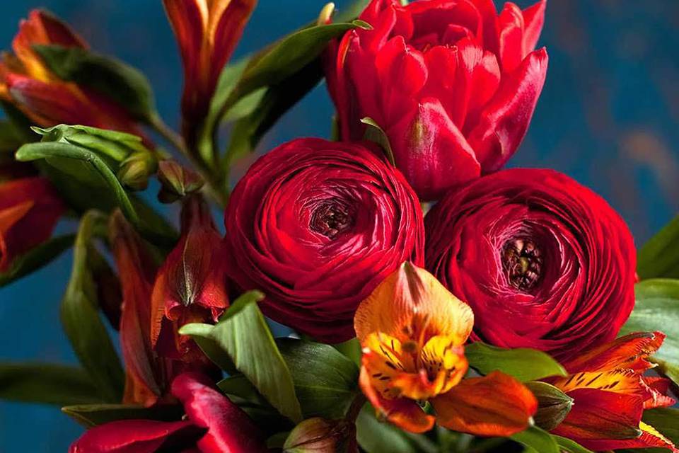 Fiori