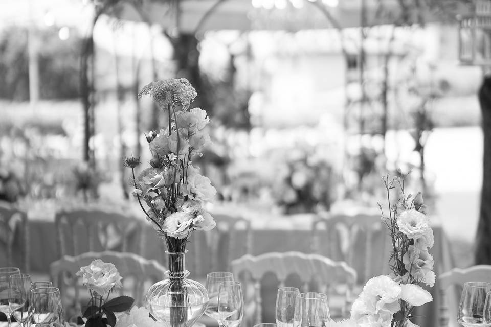 Allestimento Manuela&Lisa