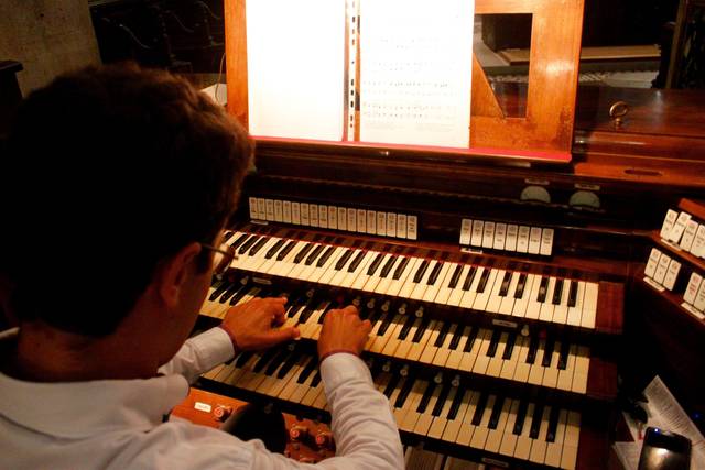 Manuel Del Ghingaro Organista