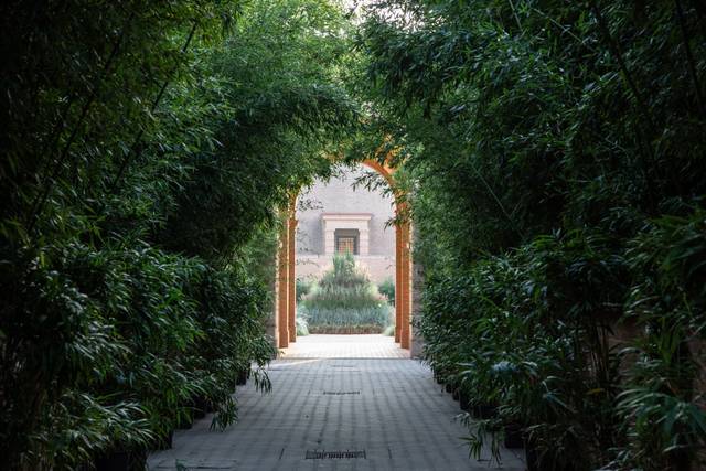 Labirinto della masone