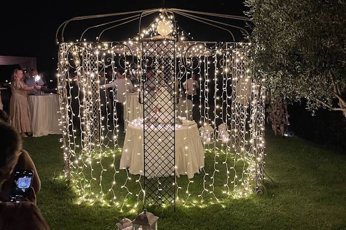 Fairy lights
