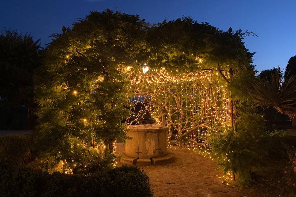 Fairy Lights