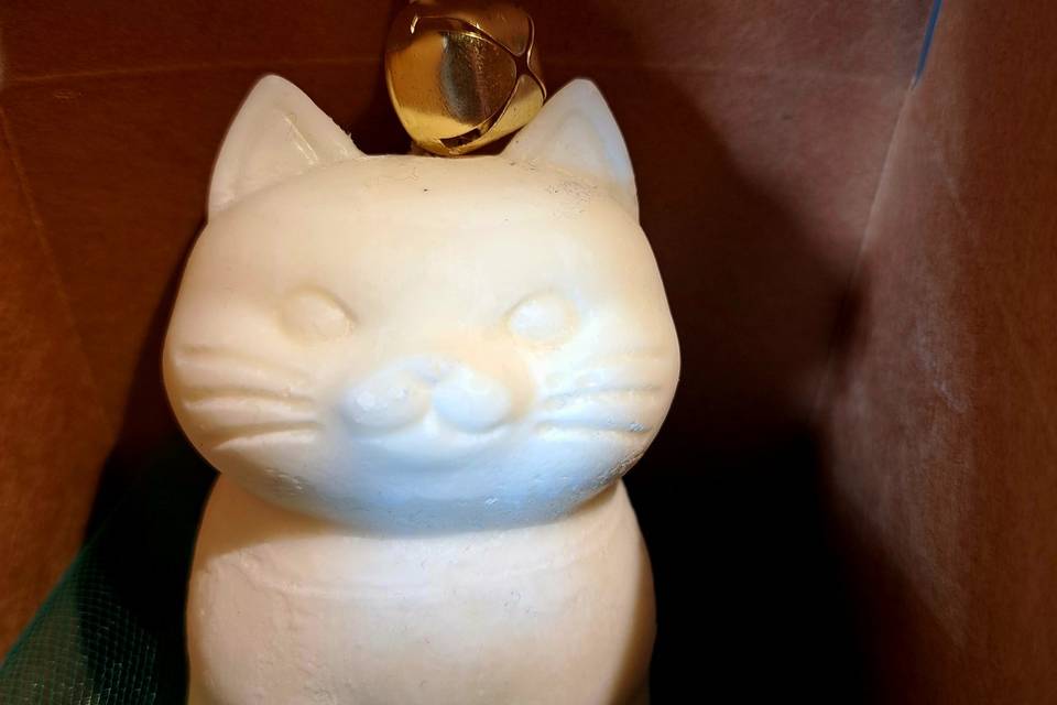 Il gatto