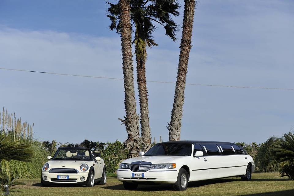 Limousine E Mini Cabrio