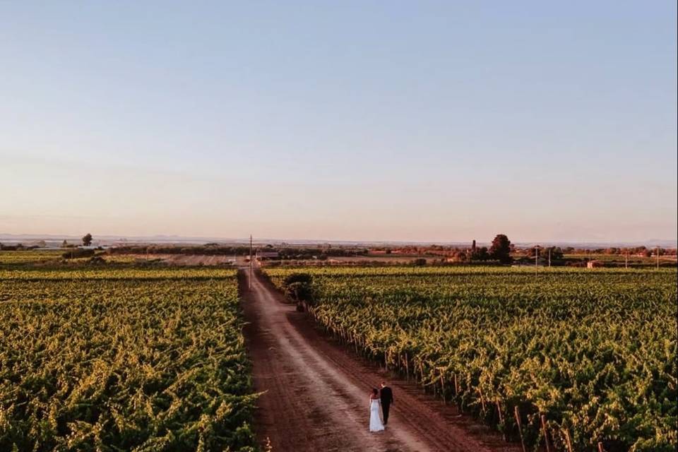 Vigna