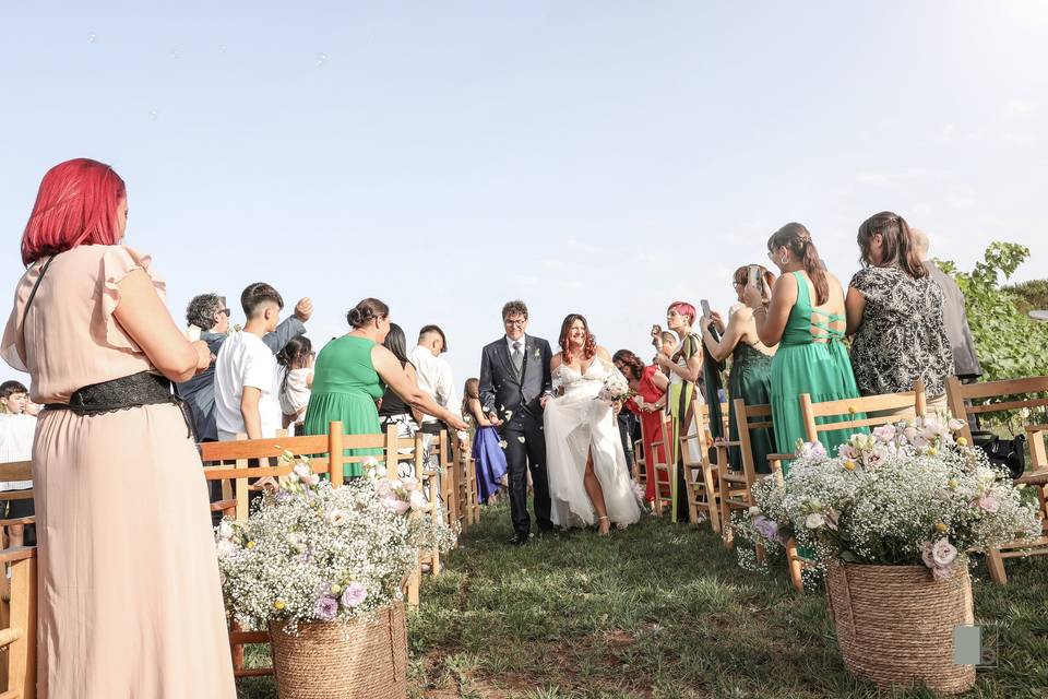 Un augurio che vola alto