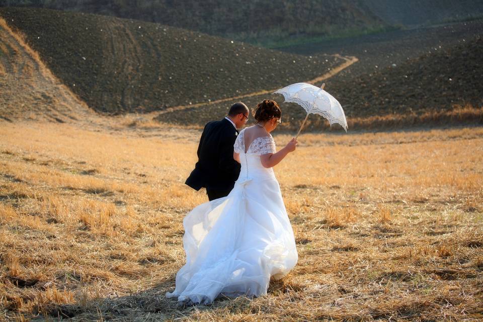 Il campo di grano