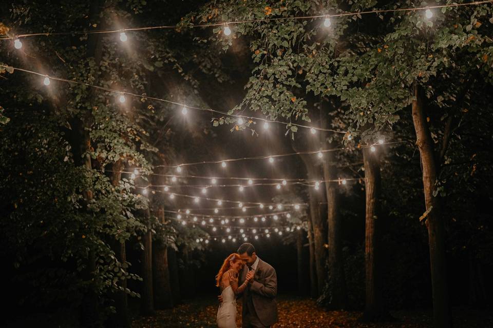 Lights