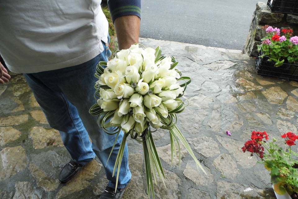 Al Giardino di Elvy