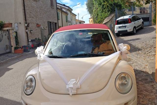 Best Car Ever