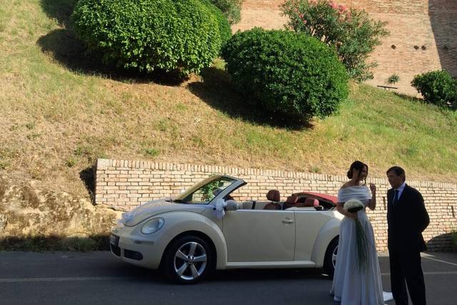 Best wedding day