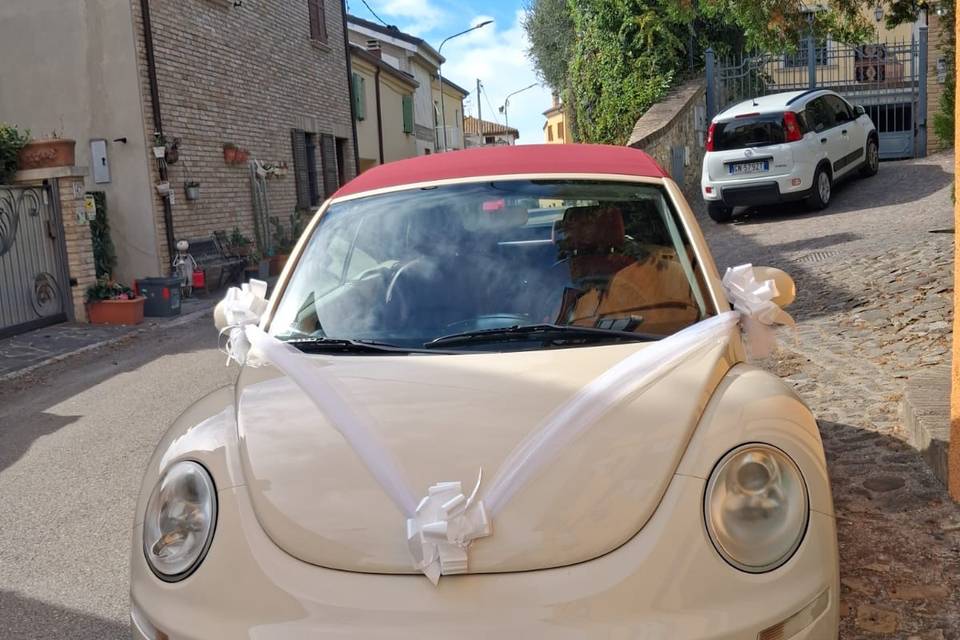 Best Car Ever
