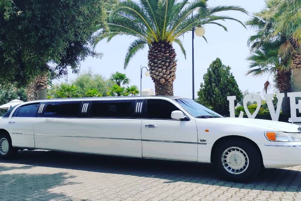 Luxury limousine