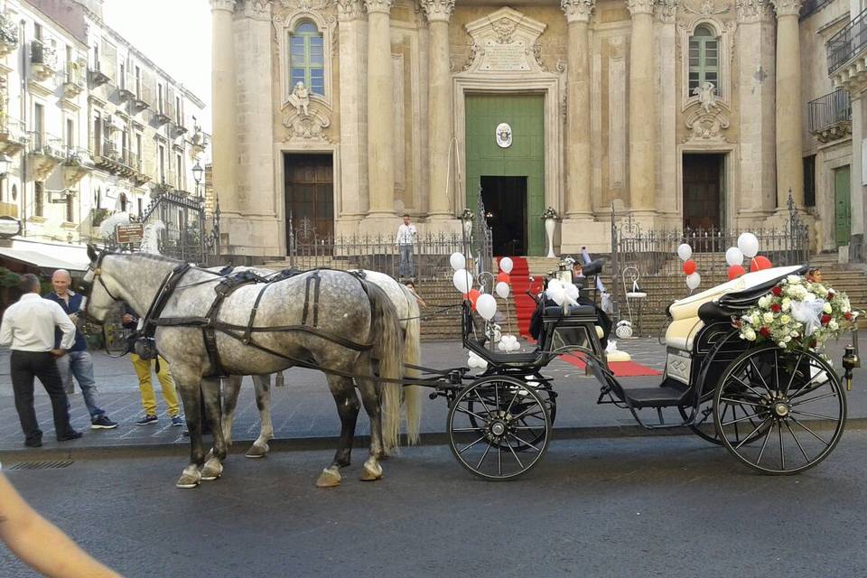 La nostra carrozza lusso black