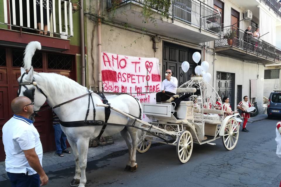 Carrozza cenerentola