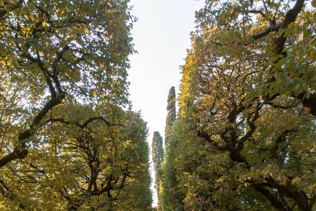 Villa rizzardi - tavolata