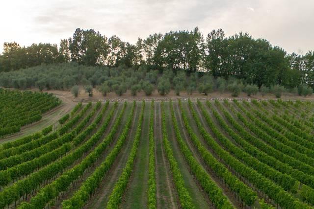 Cena intima - La torre farm