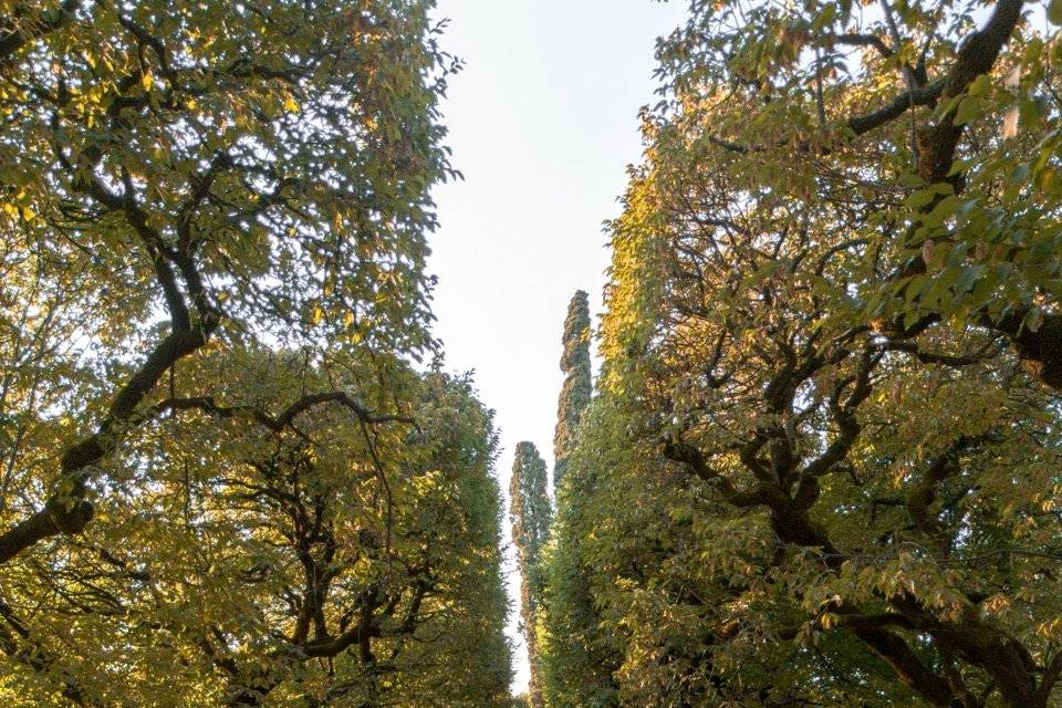 Villa rizzardi - tavolata