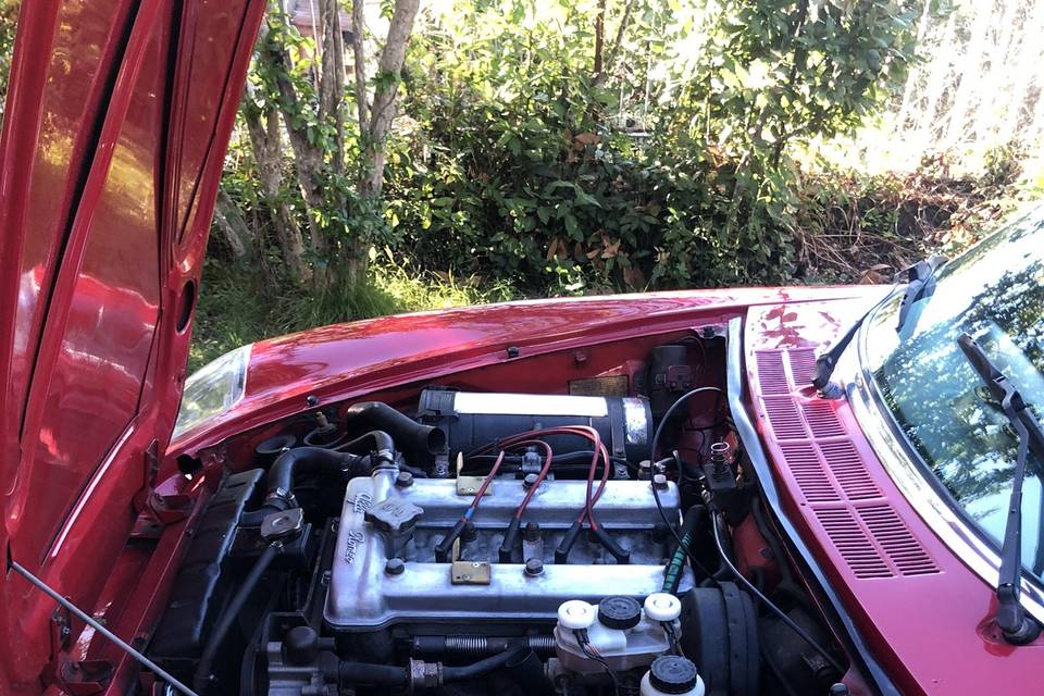 Alfa spider