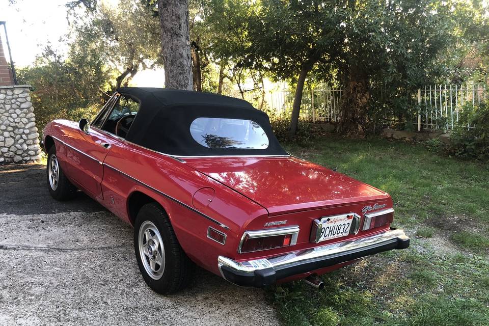Alfa spider