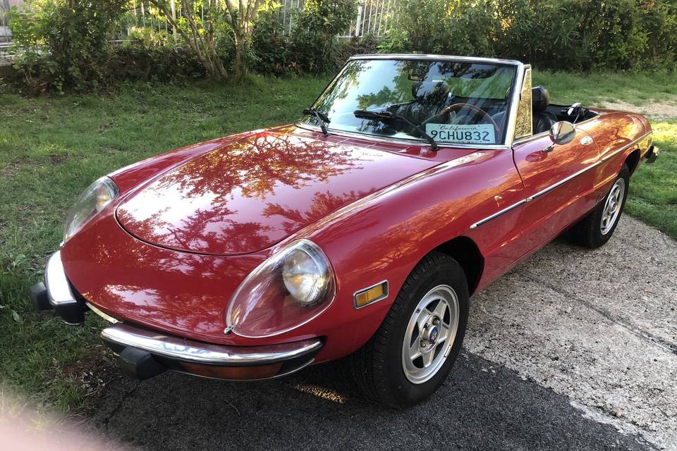 Alfa spider convertible