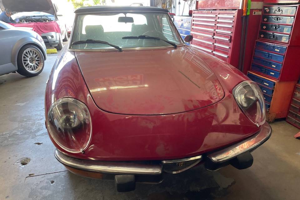 Alfa spider