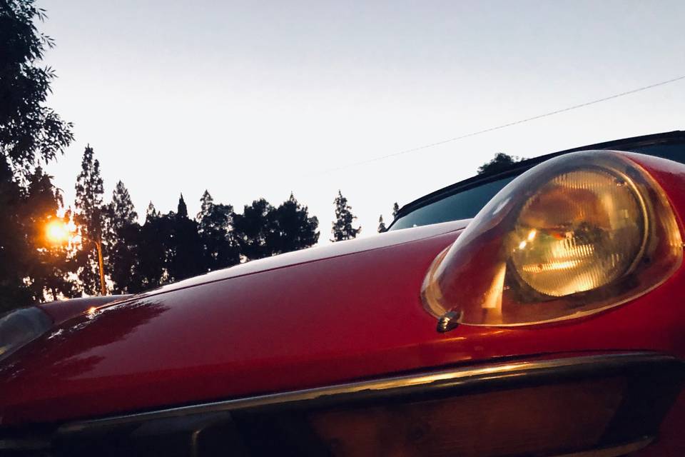 Alfa spider