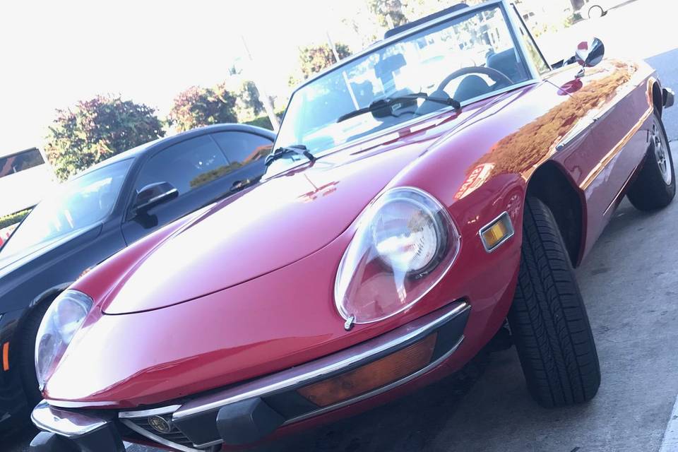 Alfa spider