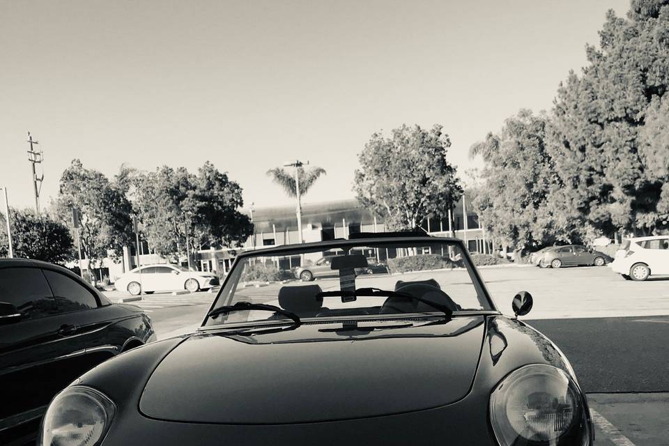 Alfa spider