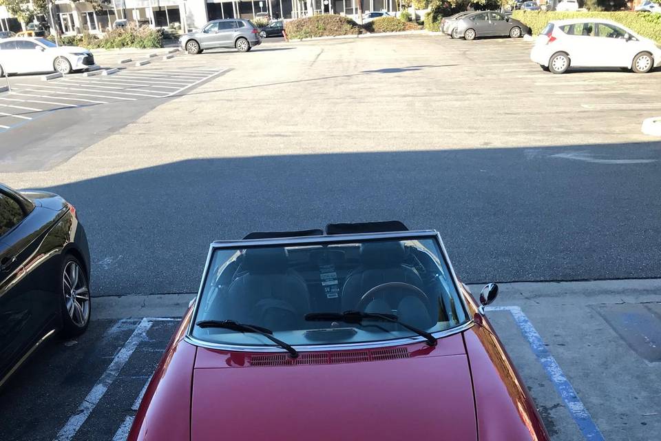 Alfa spider