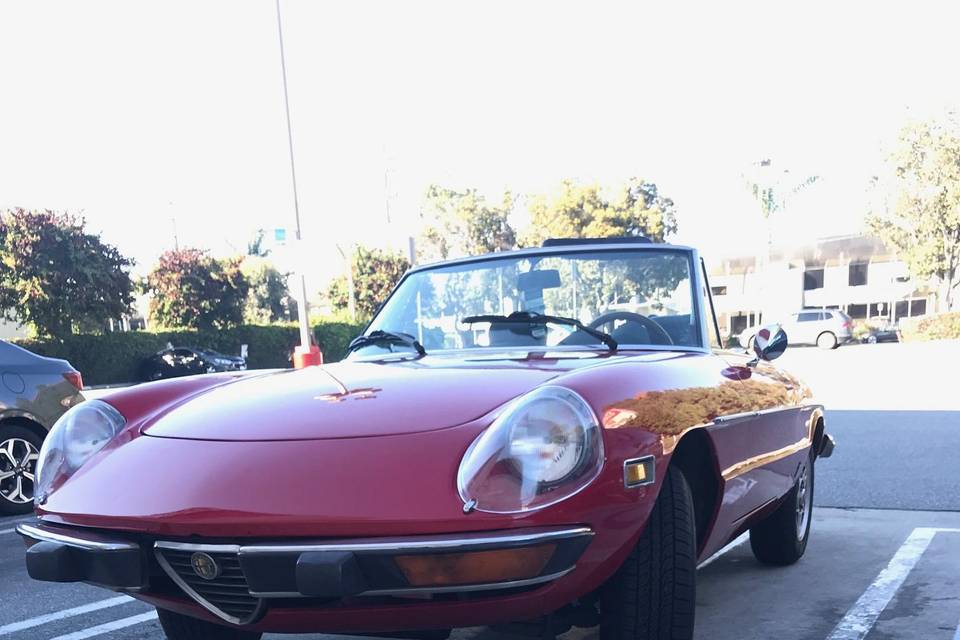 Alfa spider