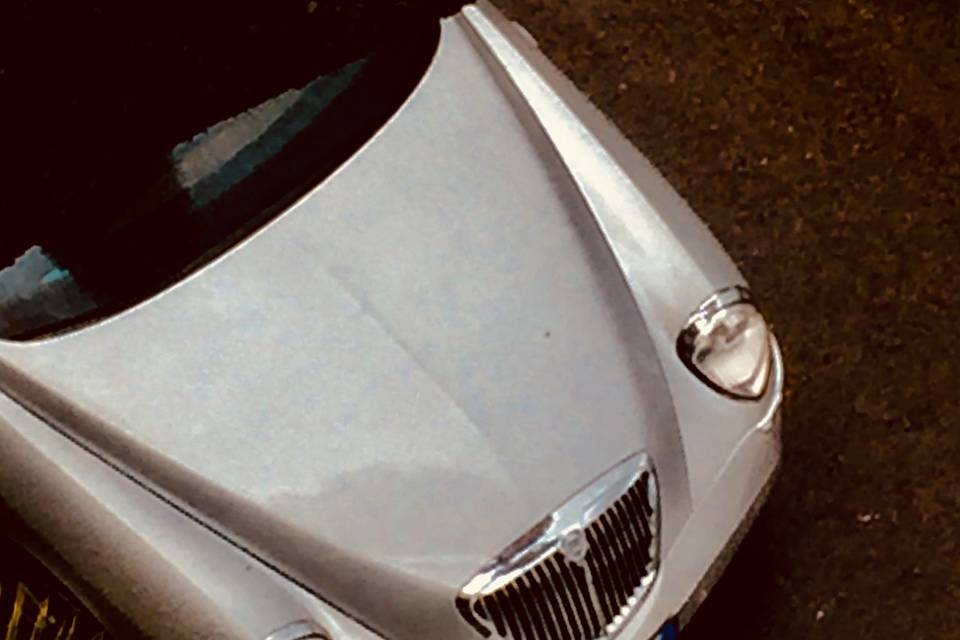 Lancia thesis