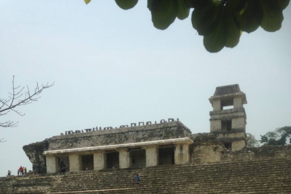 Palenque ( Chiapas )