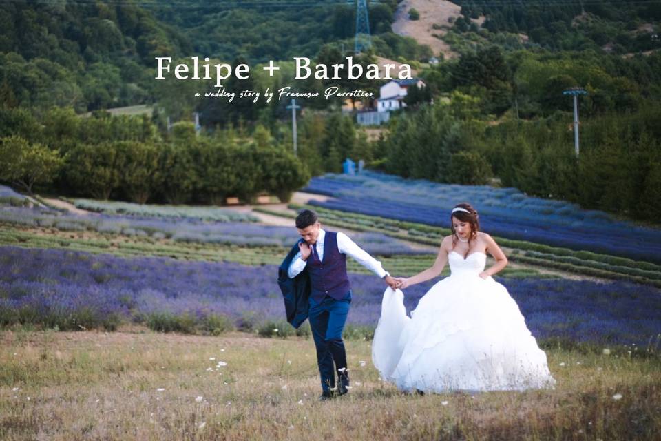 Felipe + Barbara