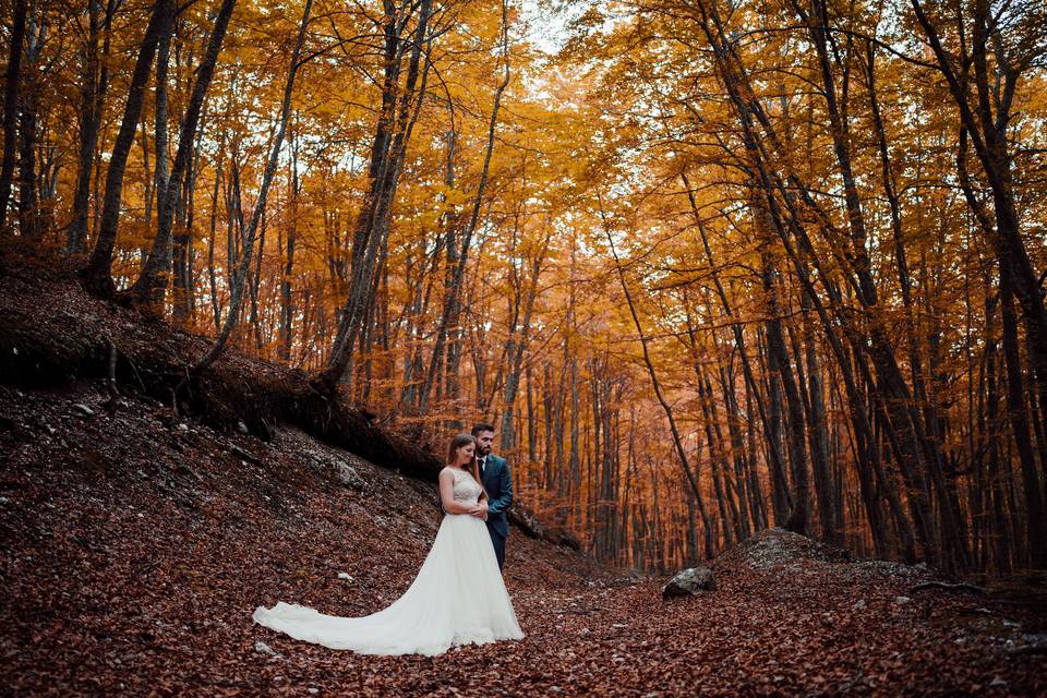 Matrimonio - Bosco Lama Bianca