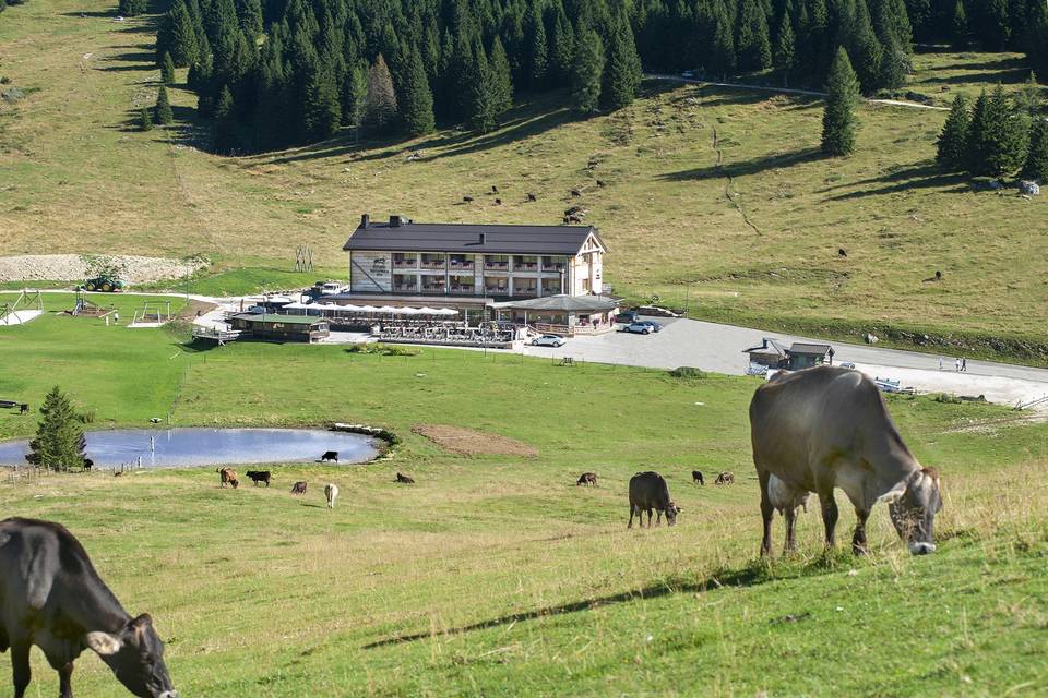 Esterno estate