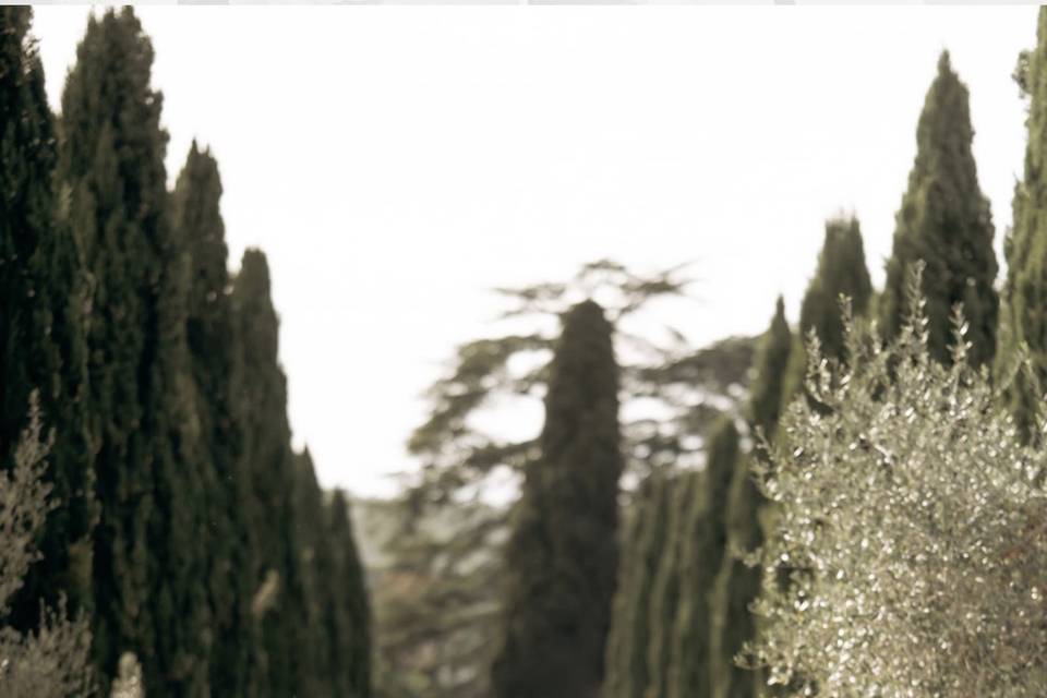 Castello di Meleto