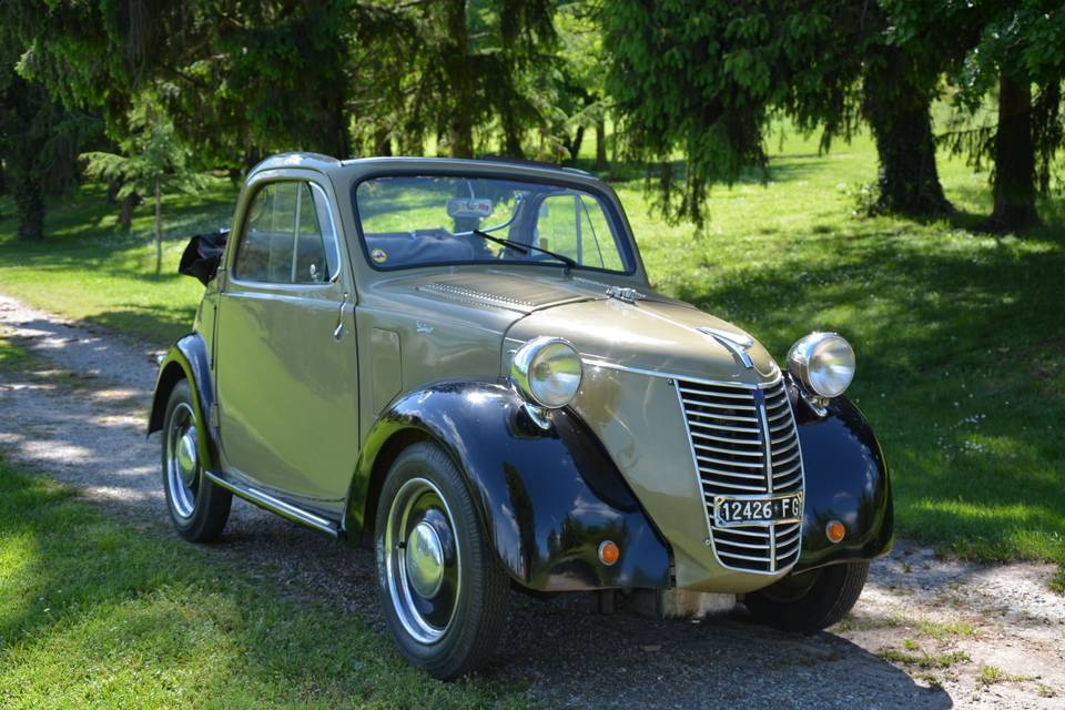 Topolino