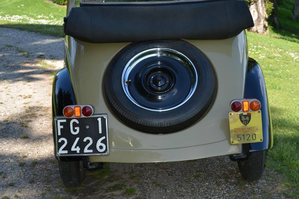 Topolino